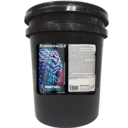 Brightwell Aquatics Remineraliz-P 20 KB NFF