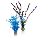 BiOrb Blue Purple Plant Pack