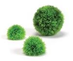 BiOrb Aquatic Topiary Pack