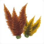 Medium BiOrb Autumn Fern Plant Pack