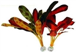 Silk Plant Pack Large Red Green BiOrb
