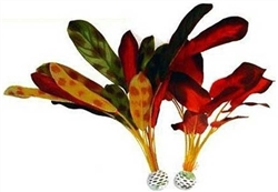 Silk Plant Pack Large Red Green BiOrb