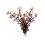 BiOrb Crimson Sea Fan Medium