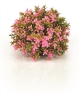 Pink Topiary Ball BiOrb