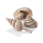 BiOrb Natural Sea Shells Set