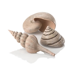BiOrb Natural Sea Shells Set