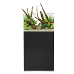 Wholesale OASE ScaperLine 60 Black Aquarium Set