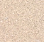 CaribSea Aragamax Sugar Sized Sand, 30 pounds