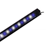 Reef Brite 48" XHO 50/50 LED Light