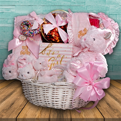 Ultimate Teddy Baby Gift Basket