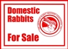 ARBA Domestic Rabbits For Sale Sign