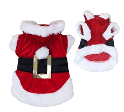 Santa Bunny Costume