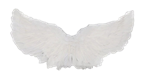 Bunny Angel Wings