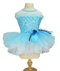 Aqua Blue Bunny Dress