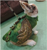 Bunny Dragon Costume and Leash