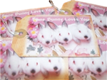 Some Bunny Loves You Gift Tags