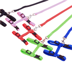 H Style Harness and Leash for Rabbit Jumping