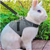 Distinguished Bunny Vest Harness/Leash