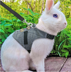 Distinguished Bunny Vest Harness/Leash