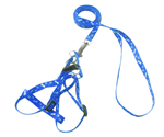 Bunny Harness Leash Set