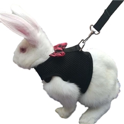 Rabbit Bowtie Vest Harness with Leash