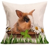 Linen Daisy Bunny Throw Pillow