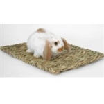 Peter's Rabbit Grass Mat