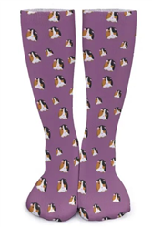 Guinea Pig Socks