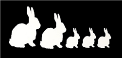 Rabbit Family Car Decal/Stickers