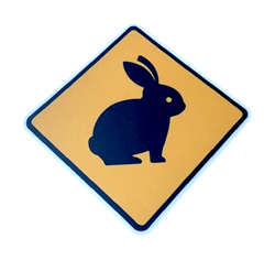 Caution Rabbit PVC Decal/Sticker