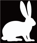 Rabbit Decal/Sticker