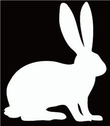 Rabbit Decal/Sticker