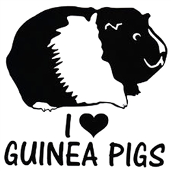 "I Love Guinea Pigs" Sticker