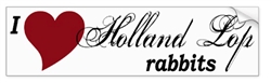 I Love Holland Lop Rabbits Bumper Sticker