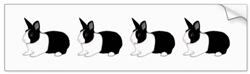 Dutch Rabbit Bumper Sticker