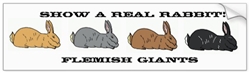 Show a Real Rabbit Flemish Giant Bumper Sticker