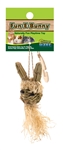 Ware Fun-E-Bunny Chew Toy