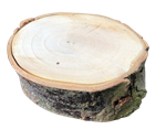 XL Willow Tree Chew Block