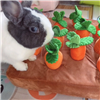 Bunny Plucking Carrot Soft Toy