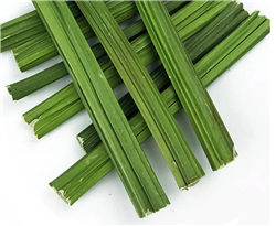 Natural Dried Paypaya Stems