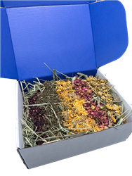 Bunny Flower Forage Box