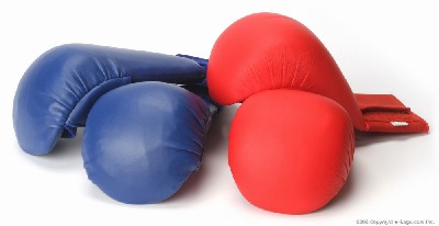 Karate Kumite Gloves