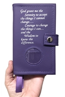 Pocket-Sized Big Book and 12 N 12 Book Cover