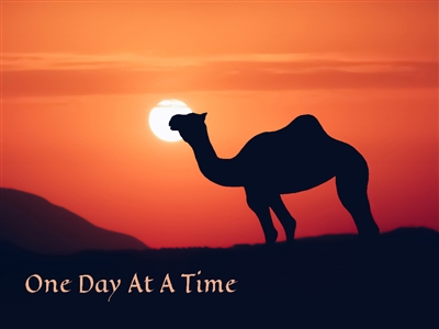 Camel - One Day At A Time - Inspirational Greeting Card