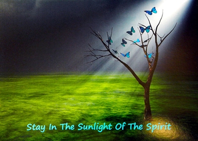 Stay in the Sunlight of the Spirit Recovery Card