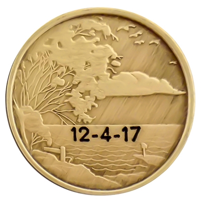 Engraved AA Coin - Serenity Scene-Style 2 - Peace within the storm quote on the back