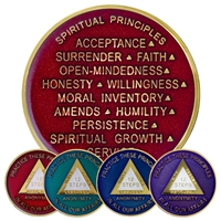 AA Practice These Principles spiritual principles recovery coins in red, teal, navy, and purple