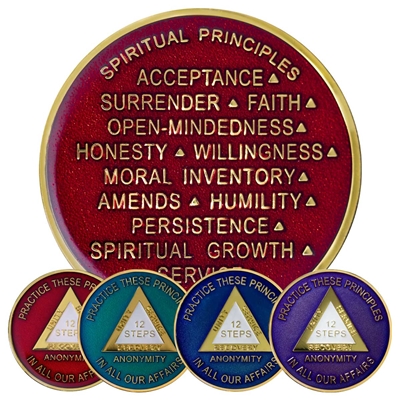 AA Practice These Principles spiritual principles recovery coins in red, teal, navy, and purple