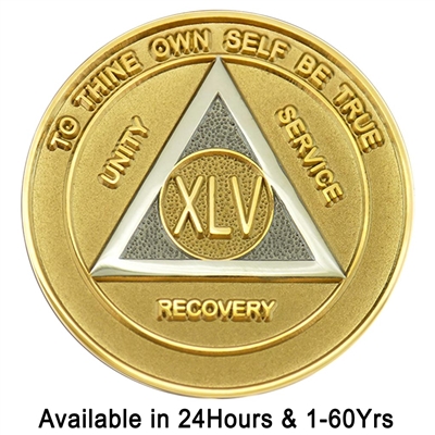 Alcoholics Anonymous | Gold & Silver Bi-Plate Anniversary Medallion | $14.00 | Features: the circle-triangle AA logo with the Roman numeral in the center.