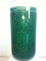 14 DAY GREEN UNSCENTED CANDLE IN GLASS
